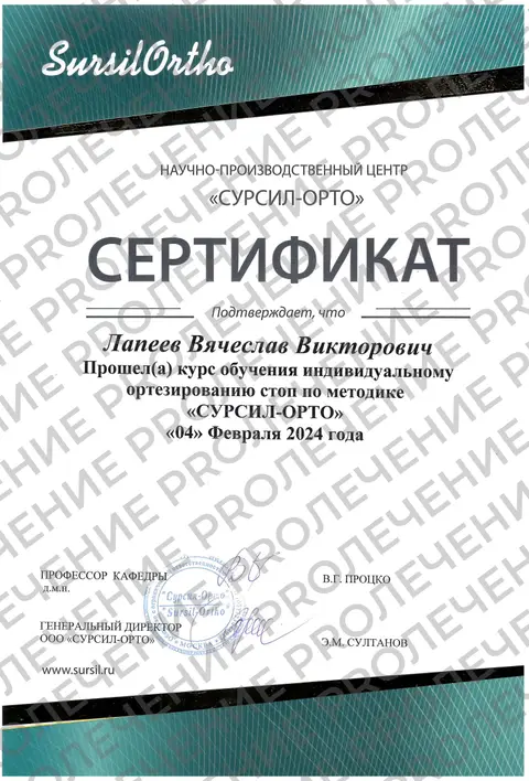 Лапеев В. В. - документ об образовании, 6 из 6