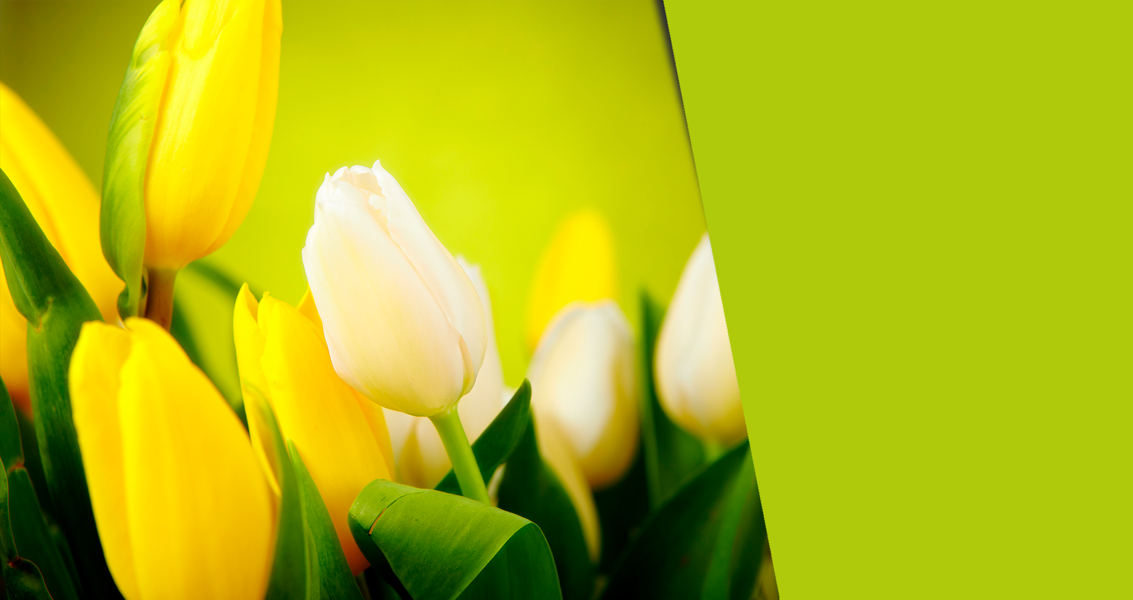 Акция 8 марта